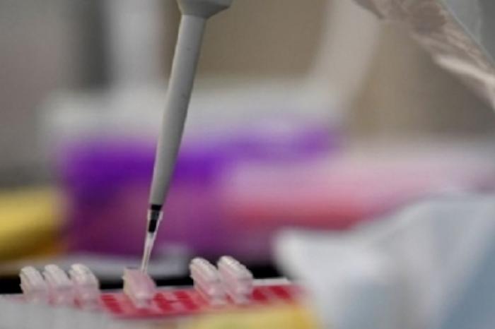 MÃ©xico realiza ensayos clÃ­nicos para frenar coronavirus