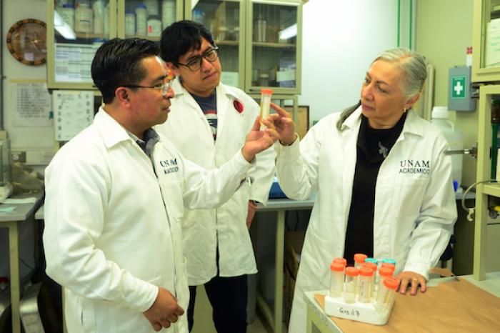 Avanza en la UNAM fÃ¡rmaco contra la enfermedad de Chagas