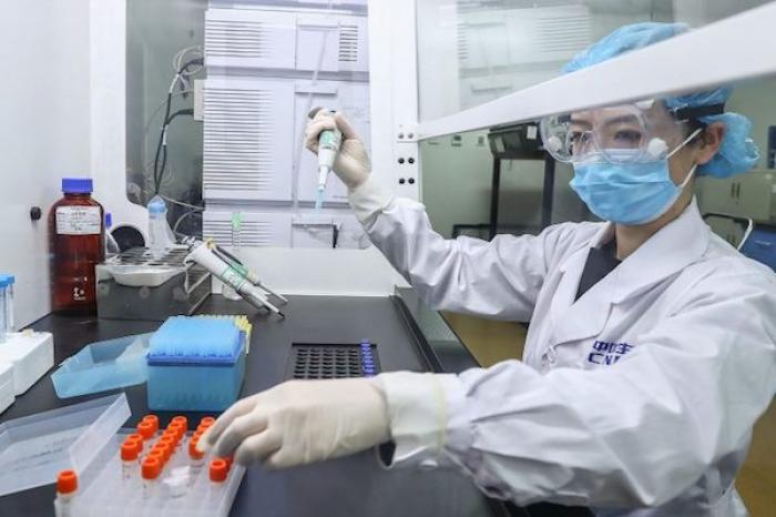 TaiwÃ¡n realizarÃ¡ en humanos pruebas de una vacuna contra Coronavirus