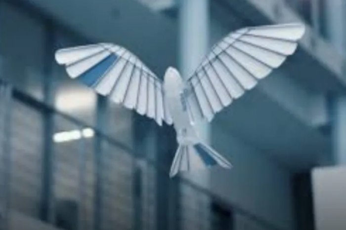 El vuelo de un pájaro robotizado que parece real