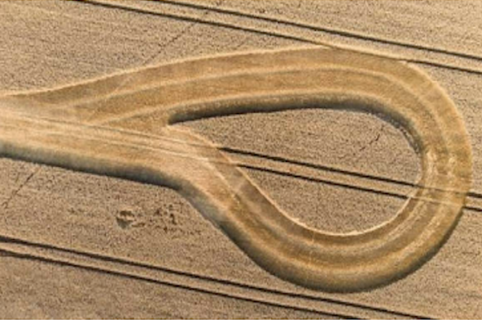 Aparición impactante de símbolo sobre campos de trigo en Francia    Sorpresa y extrañeza se ha desat