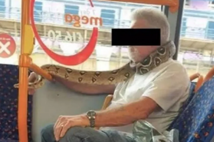 Hombre usa de bufanda a su serpiente