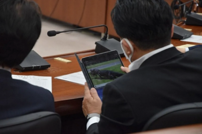 Captan a diputado viendo videos durante una sesión