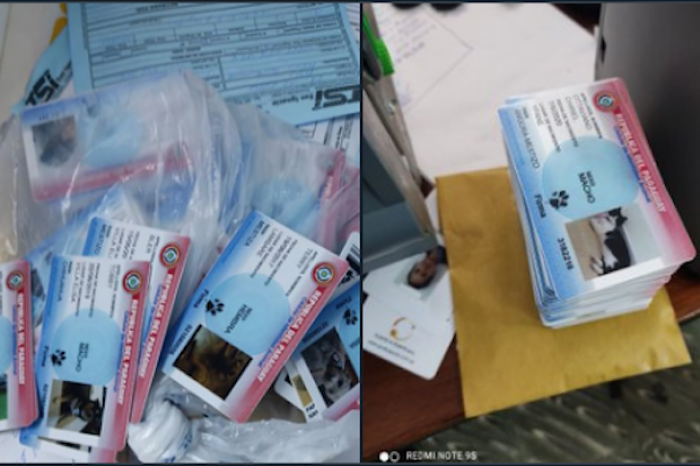Policía allana local que fabrica cédulas de juguete para mascotas, desata una ola de burlas