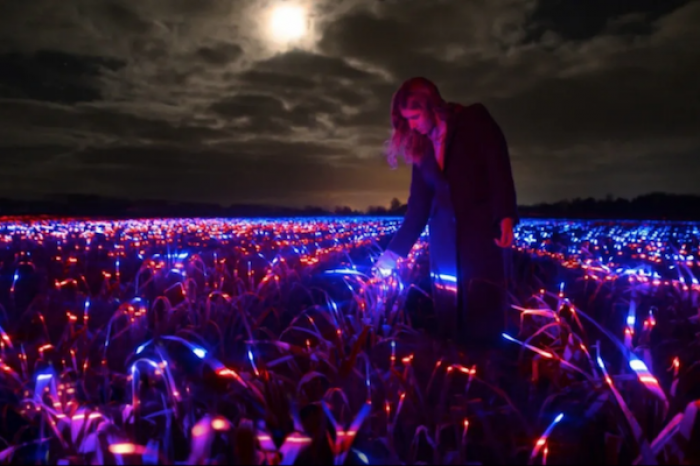 Convierte un campo de puerros en una luminosa obra de arte