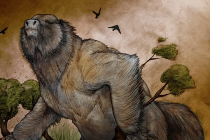 Descubren restos de un perezoso gigante antiguo en Argentina