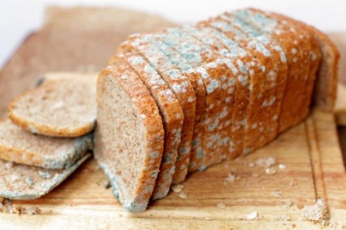 ¿Qué pasa si se consume pan y tiene moho?