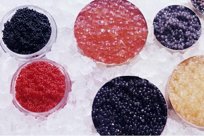 ¿Por qué el caviar es tan caro?