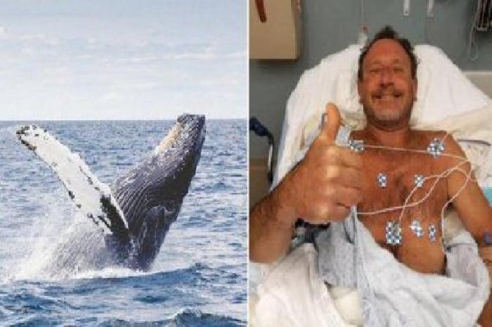 Pescador sobrevive tras ser engullido por una ballena