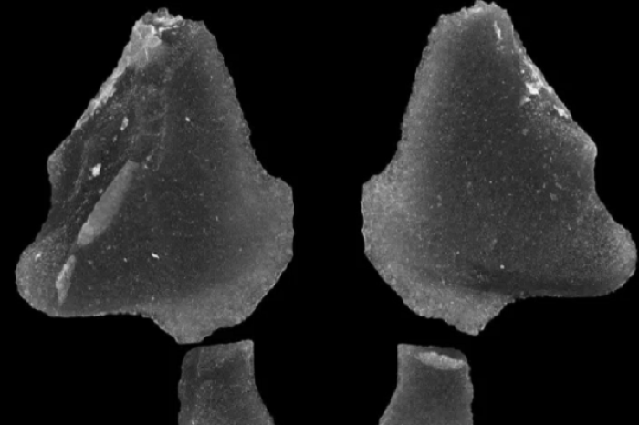 Encuentran objetos de obsidiana de 9 mil años bajo el lago Hurón