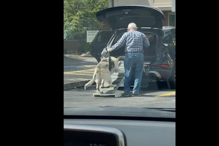 Este hombre pone una rampa en su carro para ayudar a su perro a subir
