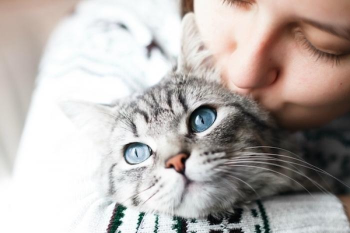 VIRAL: Joven se encuentra en exposición y su gatito juega con ella