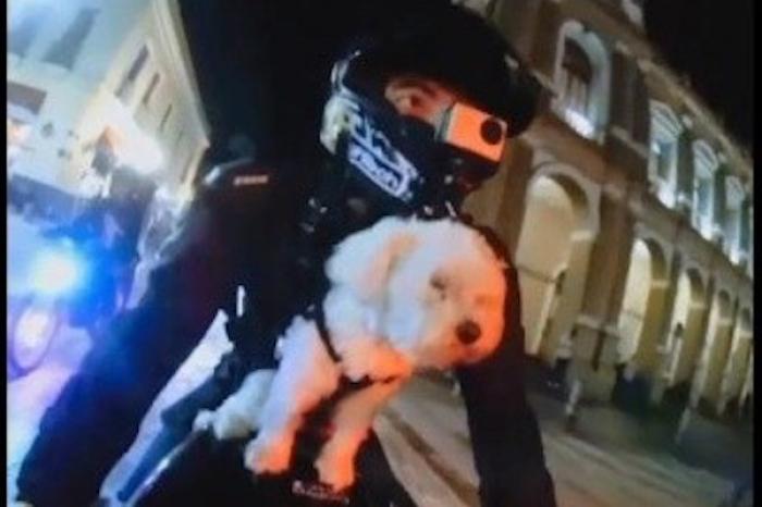 Canino se emociona al pasear en moto con su dueño