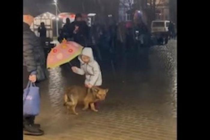 Niña protege a perro de la lluvia con su paraguas