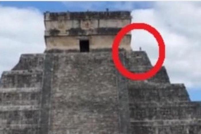 Captan a perrito en la cima de Chichen Itzá