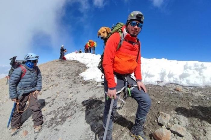 Alpinistas rescatan a perrito que sobrevivió un mes en la montaña más alta de México