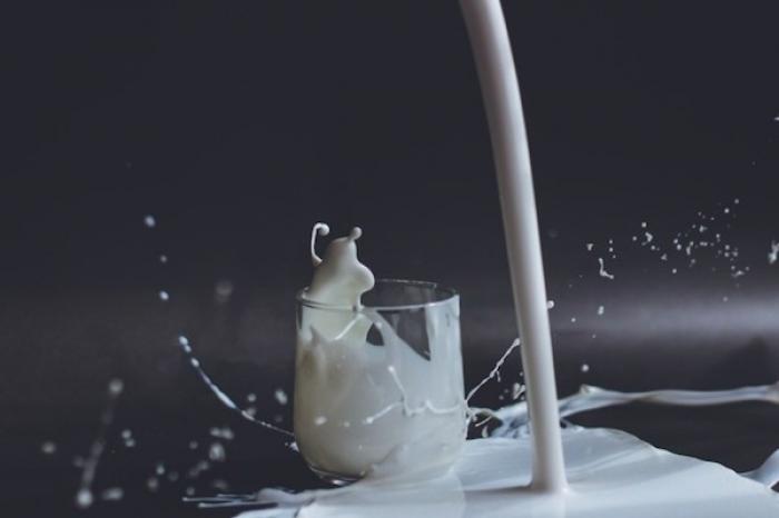 Leche: ¿Es un veneno blanco o una bebida saludable?