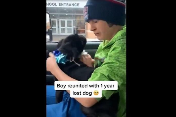 Niño rompe en llanto al reencontrarse con su perrito que tenía un año perdido