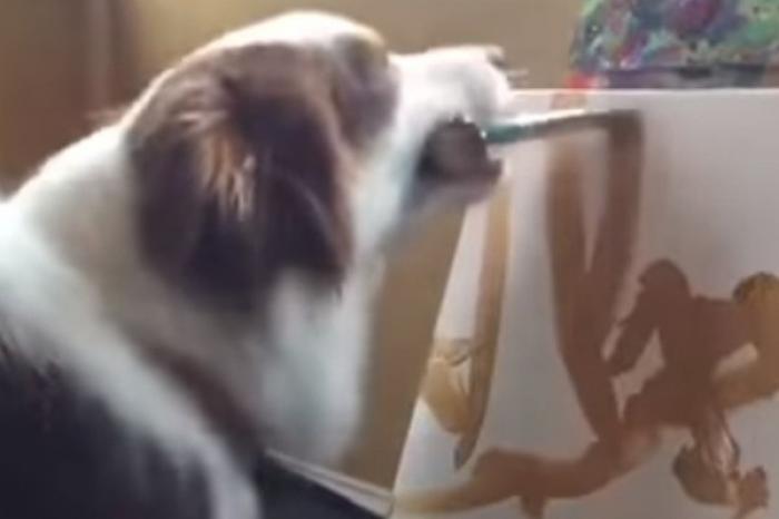 Gana 400 mil pesos vendiendo obras de arte pintadas por su perrito