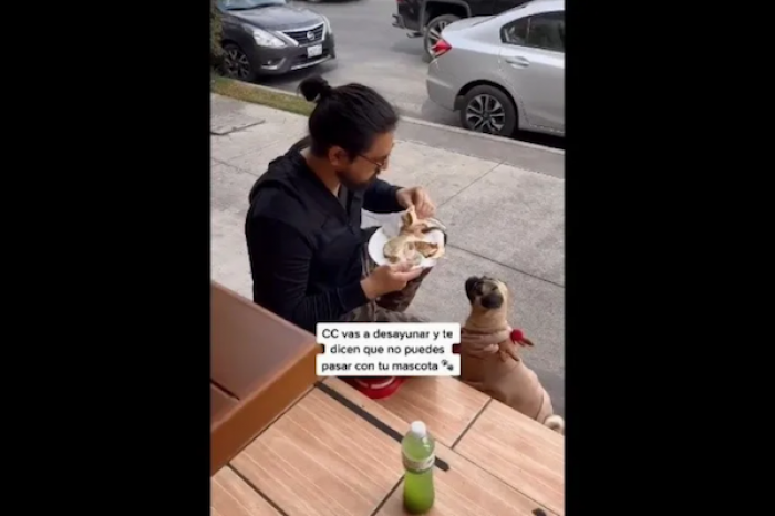 Restaurante no deja pasar a mascota de un joven y comen en la 
