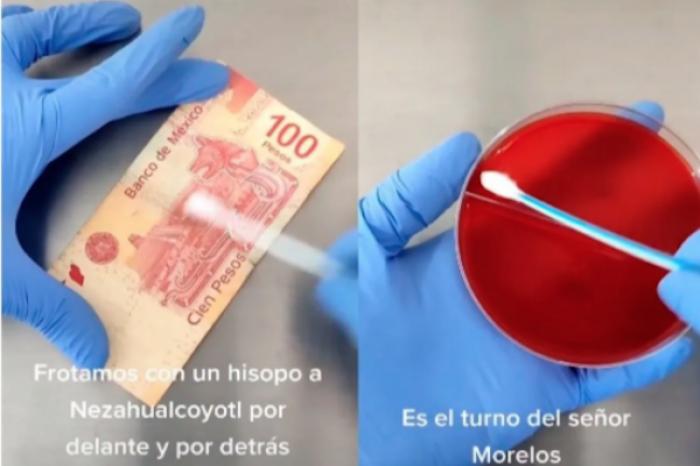 ¿Tienen más bacterias los billetes o las monedas?