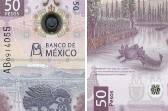 Declaran al billete mexicano de $50 como el más bonito del mundo