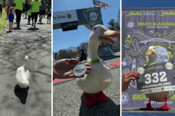 Pato corre un maratón y hasta obtiene una medalla