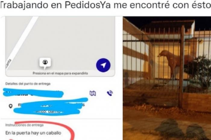 “En la puerta hay un caballo” fue el mensaje que dejó un cliente a su repartidor para que encontrara