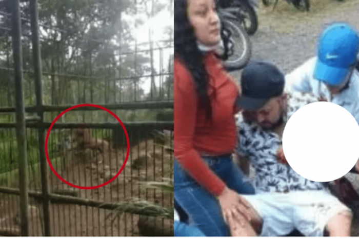 León muerde el brazo de un visitante en zoológico