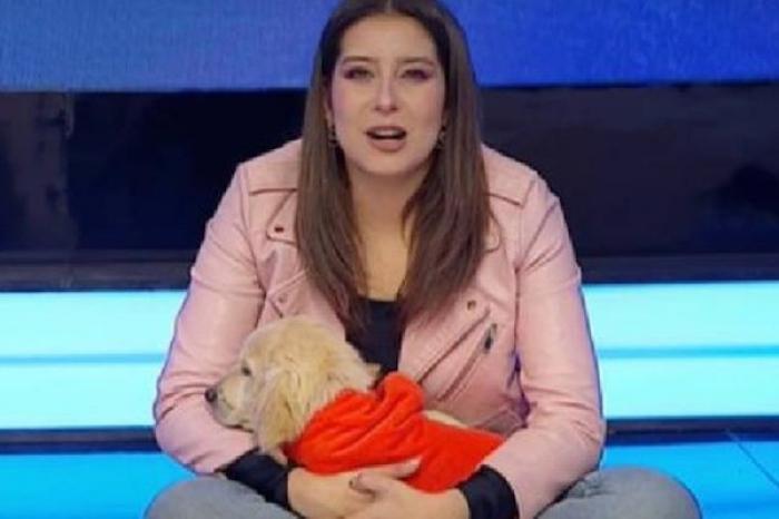 Perrito visita programa de televisión y conductora lo adopta