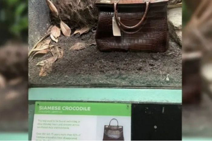 Zoológico exhibe bolso de piel de cocodrilo y genera debate en redes sociales