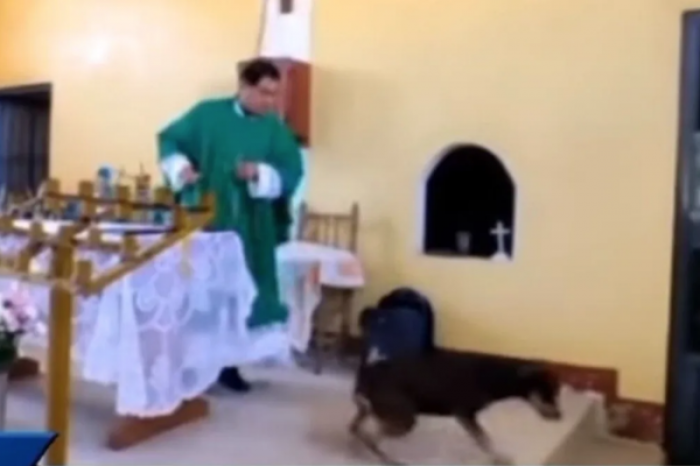 Sacerdote patea a perro en plena misa y asegura que Jesús hacia lo mismo