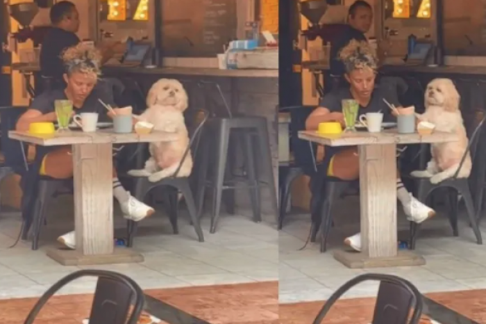 ¡Desayuno de amigos! Perrito y dueña desayunan juntos en un restaurante 