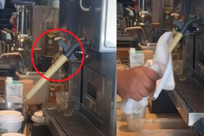 Usuario capta cucaracha mientras preparan su café en Starbucks