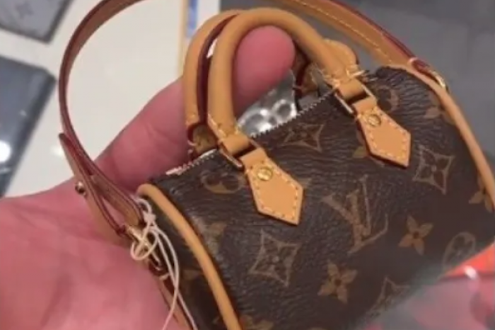 Louis Vuitton vende bolsa para heces de perro, tiene un costo de 18 mil pesos