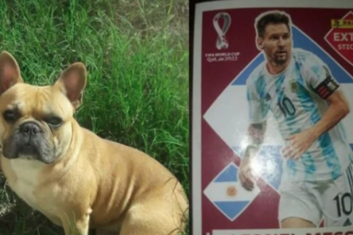 Le roban el perro a su amiga y niño ofrece una figurita de Lionel Messi como recompensa