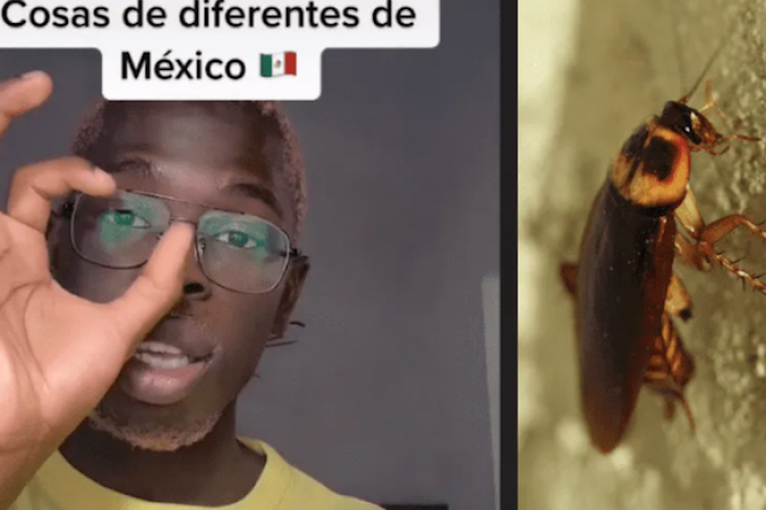 Francés explica las cosas raras de México