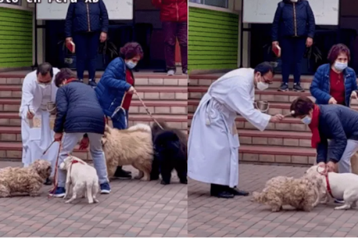 Llevan a sus perros a parroquia para que padre los bendiga y conmueve en redes