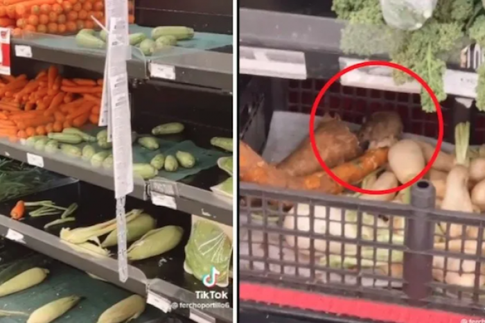 Captan a ratón comiéndose las verduras de Soriana