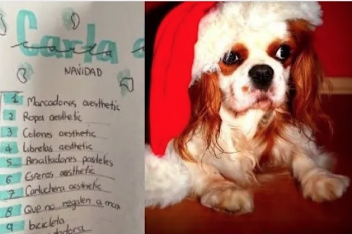 Niño le pide a Santa Claus que sus papás no regalen a su mascota