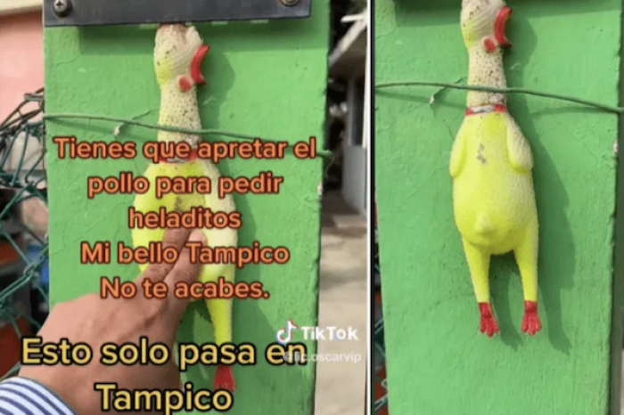 Instalan un pollo como timbre para comprar helados 