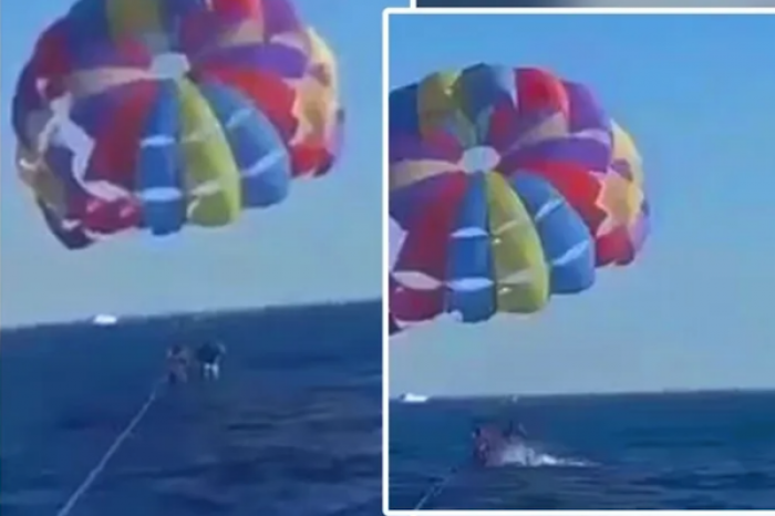 Tiburón salta del agua y arranca parte del pie de un parapente en el Mar Rojo