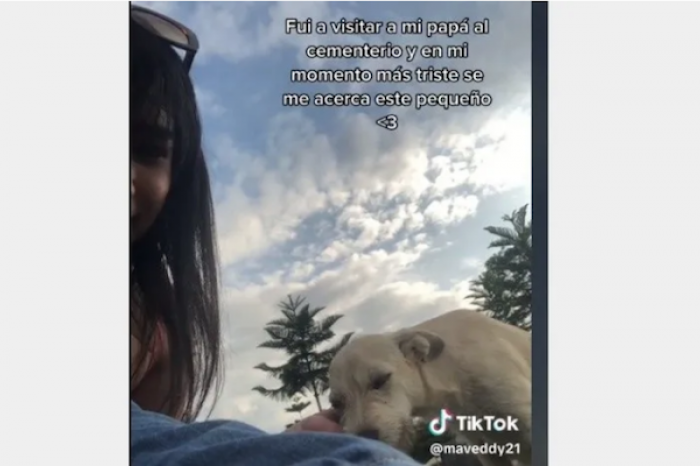 Joven visita a su papá en el cementerio y un perrito la consuela