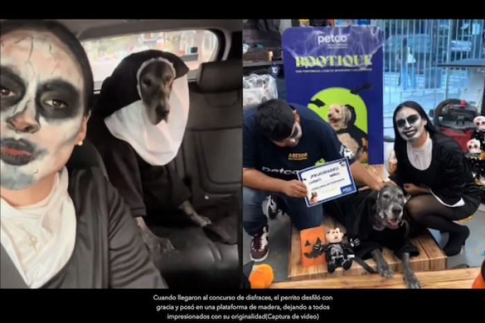 Perrito y su dueña ganan concurso disfrazados de 