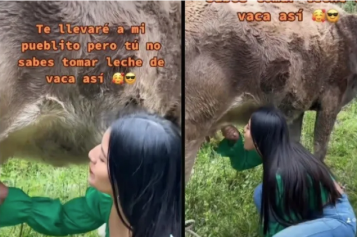 Mujer bebe leche de vaca directo de la ubre y se hace viral