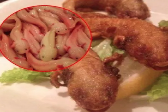 Critican consumo de ajolote en un restaurante de Japón