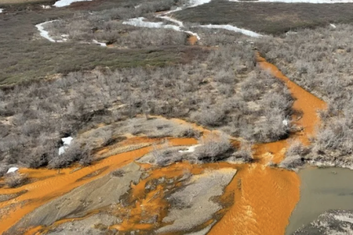 Ríos de Alaska se pintan de naranja y se eleva su nivel de acidez