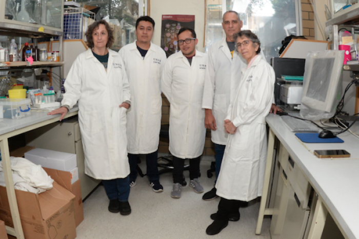 Desarrollan científicas de la UNAM molécula innovadora para combatir el cáncer de mama