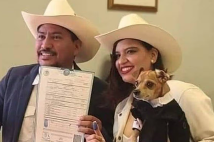 Rodrigo, un perrito chihuahua, firma como testigo en boda de sus dueños