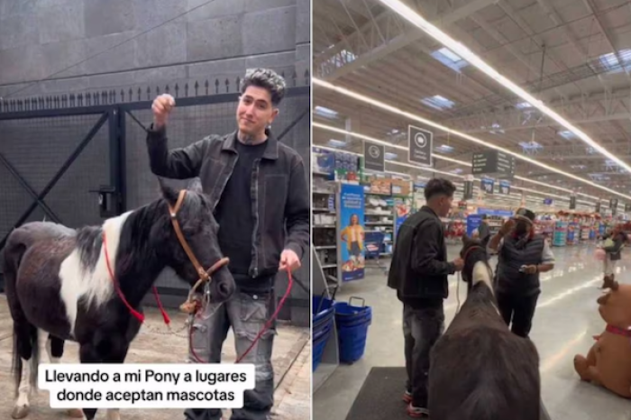 Prohiben el acceso de un pony a un lugares ¨pet friendly¨